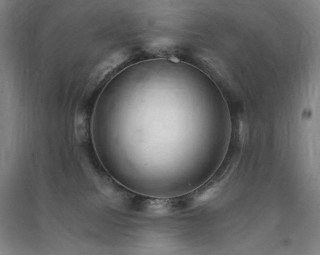 X0000091340088200708171419