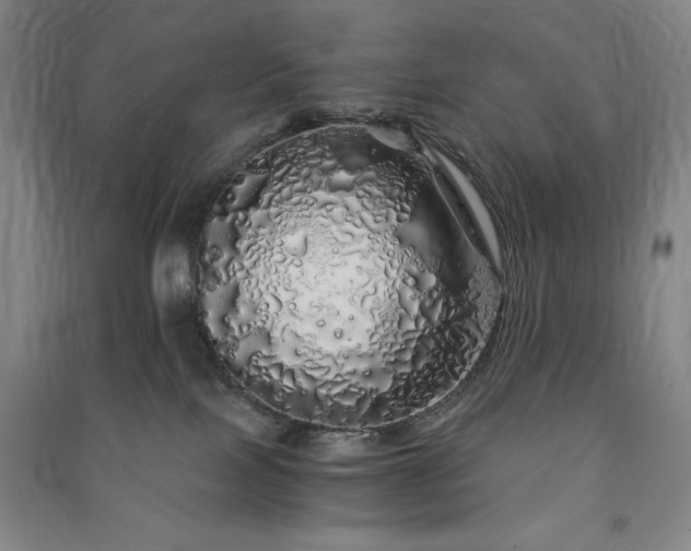 X0000091340089200708171419