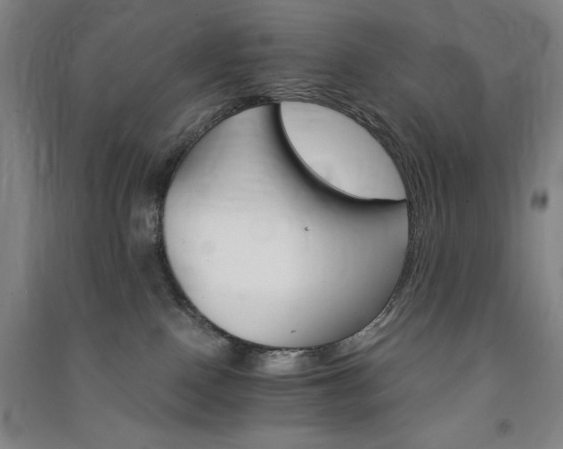 X0000091340090200708171419