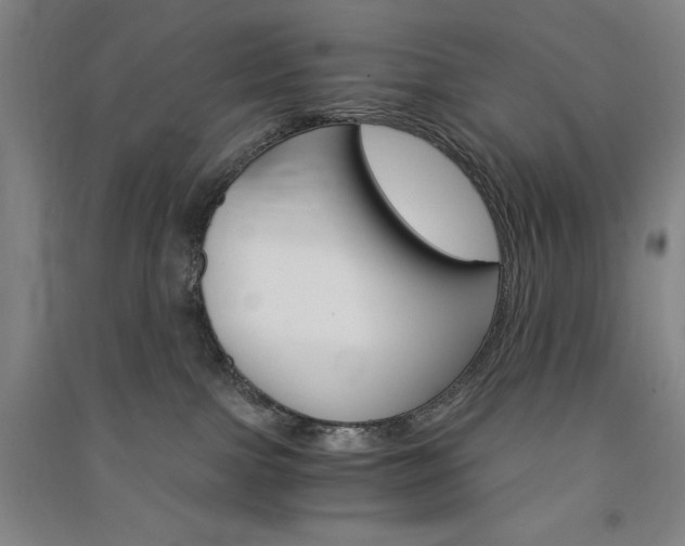 X0000091340091200708171419