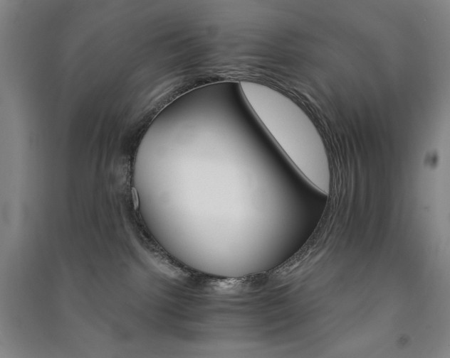 X0000091340092200708171419