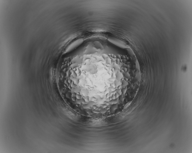 X0000091340093200708171419