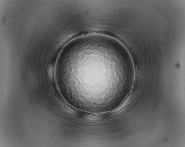 X0000091340094200708171419