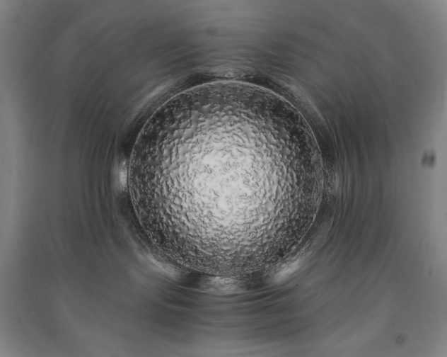 X0000091340095200708171419