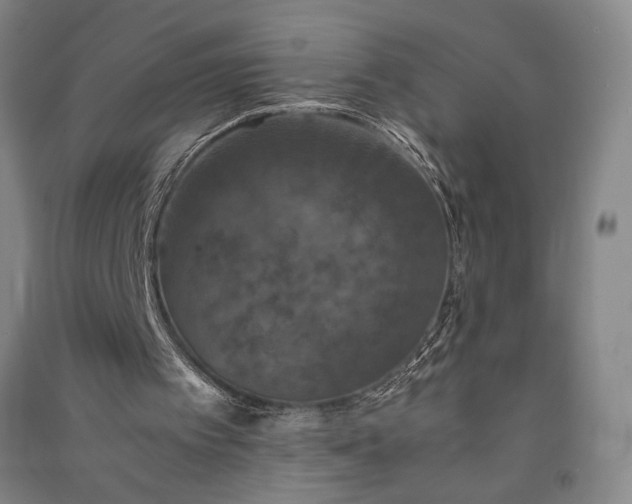 X0000091340097200708171419