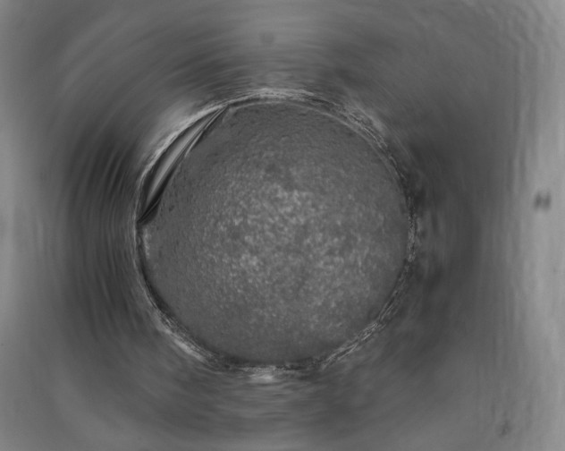 X0000091340098200708171419