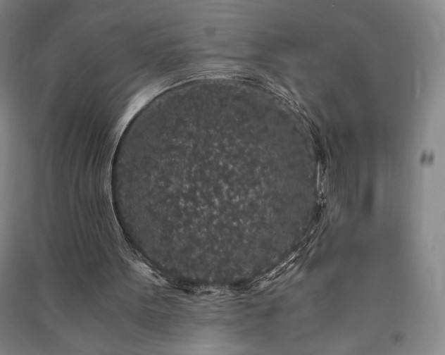 X0000091340099200708171419