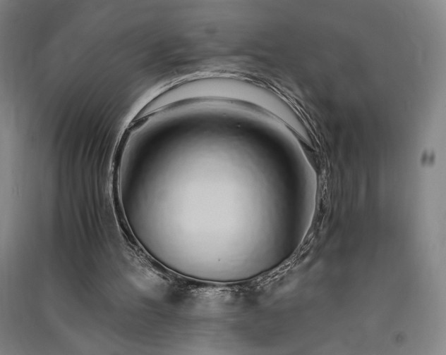 X0000091340100200708171419