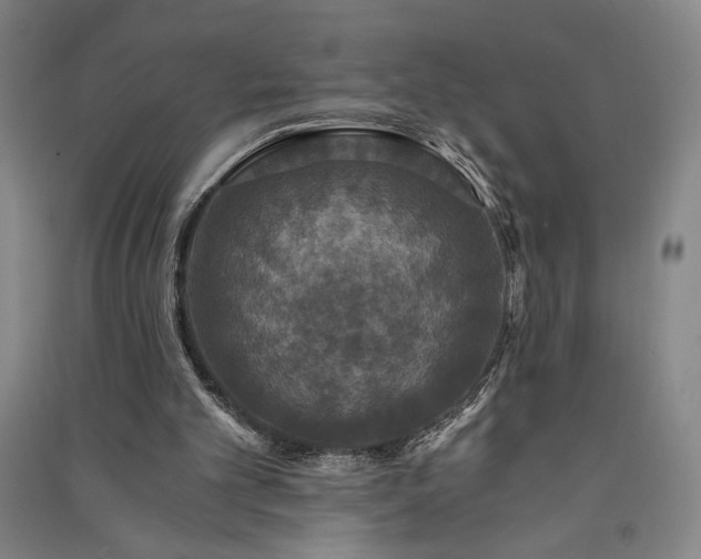 X0000091340101200708171419