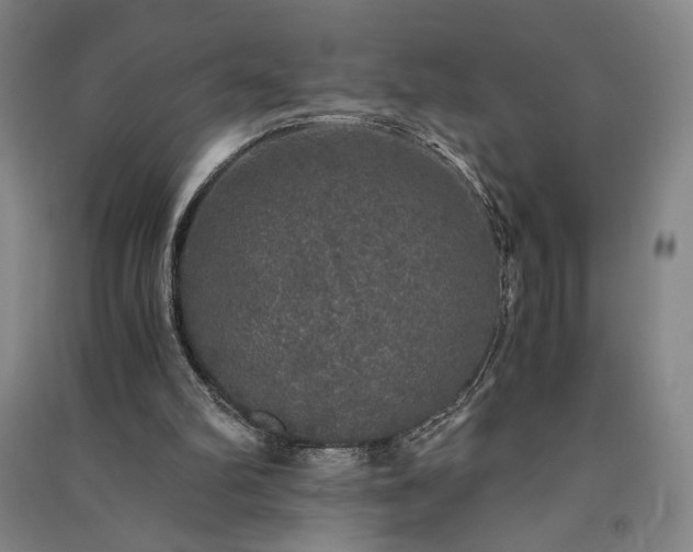 X0000091340102200708171419