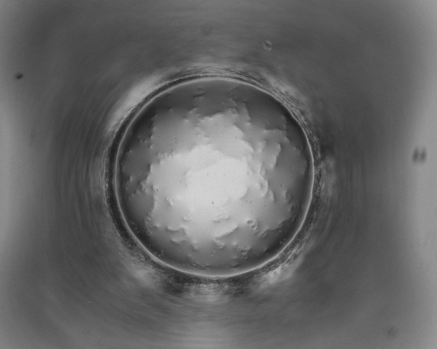 X0000091340103200708171419