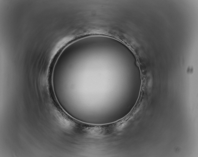 X0000091340104200708171419