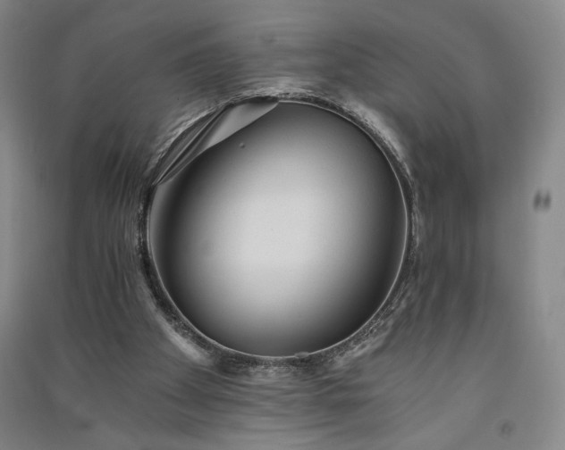 X0000091340105200708171419