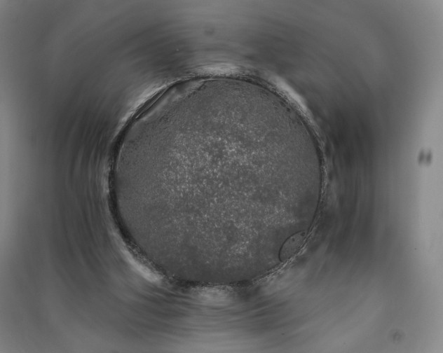 X0000091340106200708171419