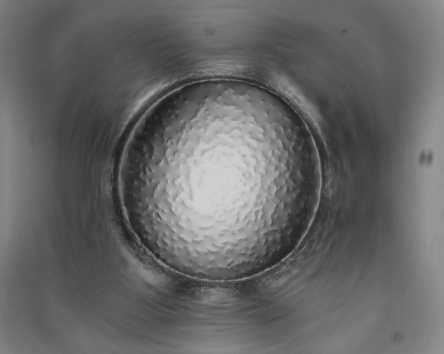 X0000091340107200708171419