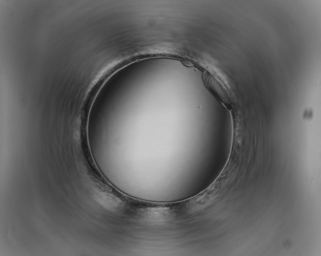 X0000091340108200708171419