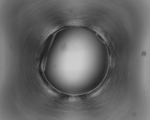 X0000091340109200708171419