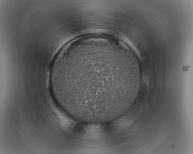 X0000091340110200708171419