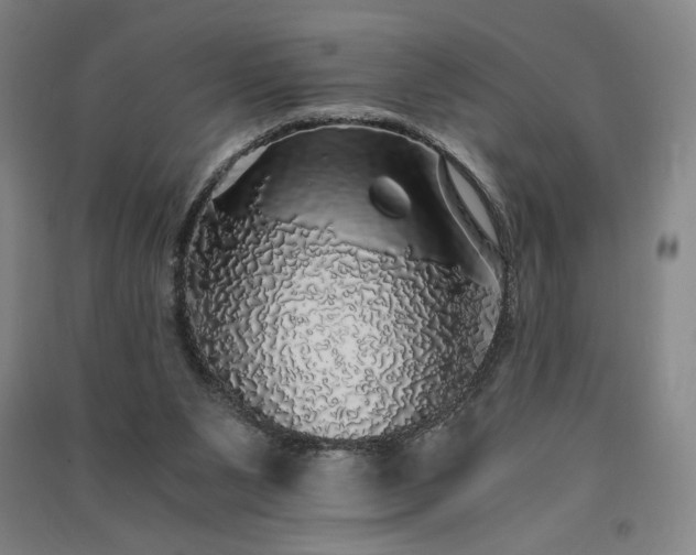 X0000091340111200708171419