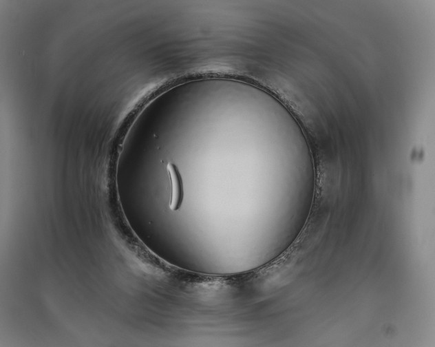 X0000091340112200708171419