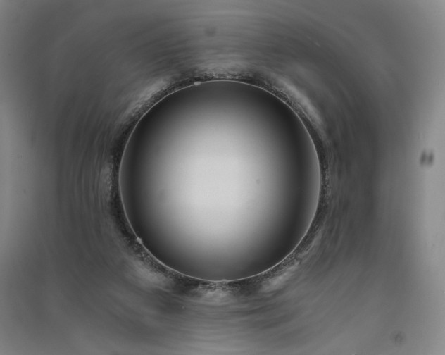 X0000091340113200708171419