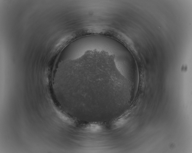 X0000091340114200708171419