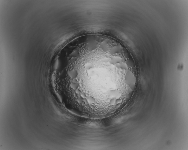 X0000091340115200708171418