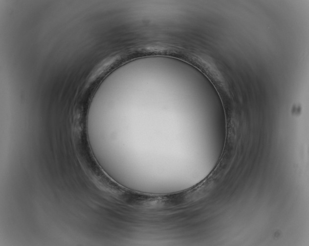 X0000091340116200708171418