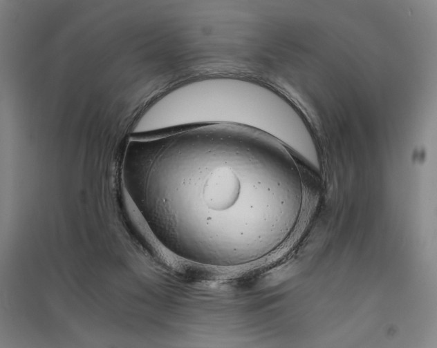 X0000091340117200708171418