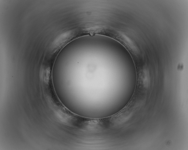 X0000091340118200708171418