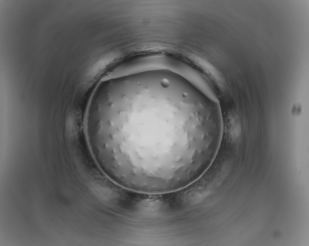 X0000091340119200708171418