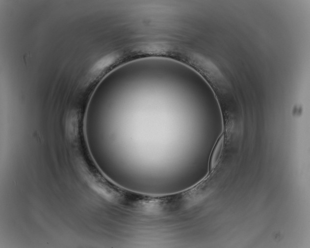 X0000091340120200708171418