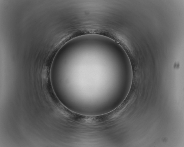 X0000091340121200708171418