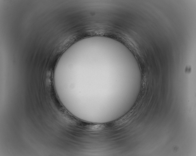 X0000091340122200708171418