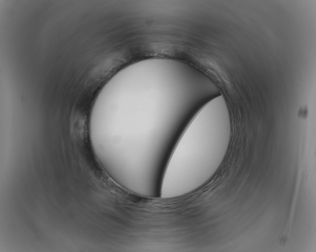 X0000091340123200708171418