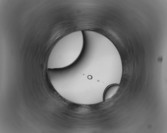 X0000091340124200708171418