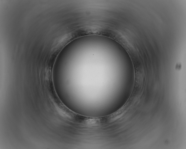 X0000091340126200708171418