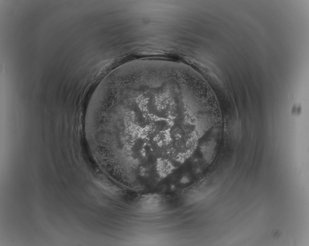 X0000091340127200708171418