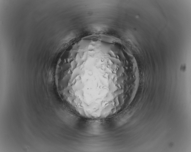 X0000091340131200708171418