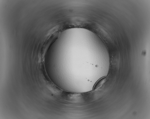 X0000091340132200708171418