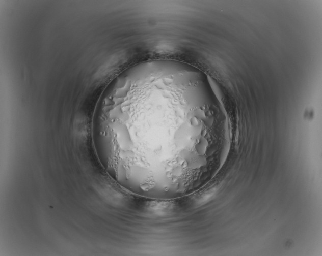 X0000091340135200708171418