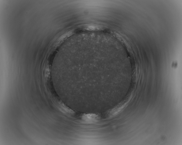 X0000091340137200708171418