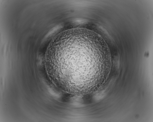 X0000091340138200708171418