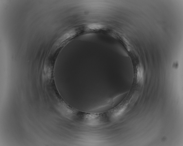 X0000091340139200708171418