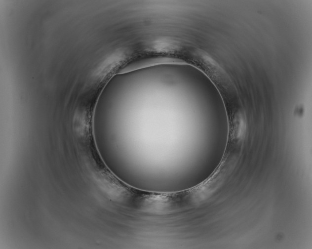 X0000091340140200708171418