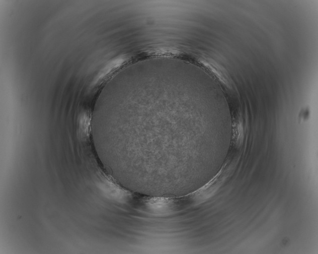 X0000091340142200708171418