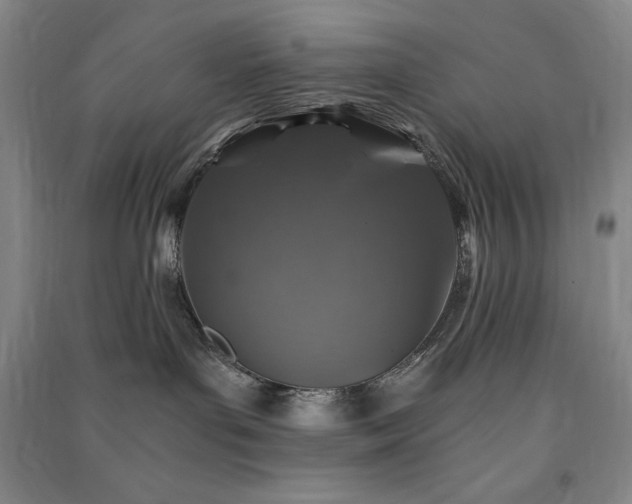 X0000091340143200708171418