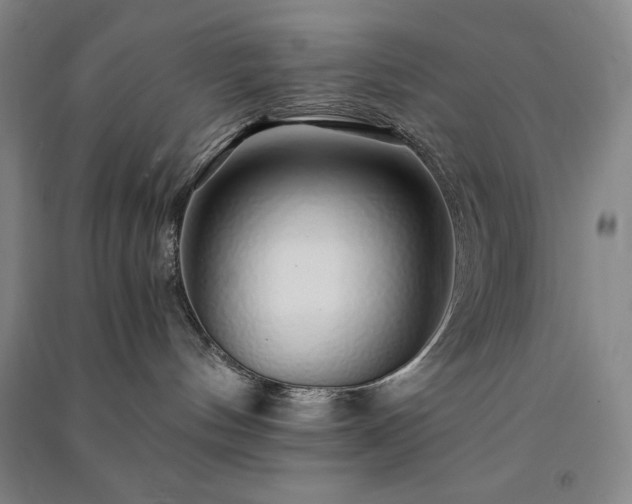 X0000091340144200708171418