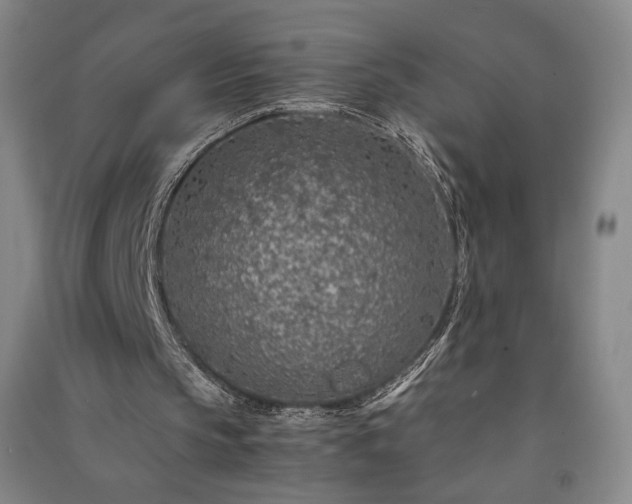 X0000091340145200708171418