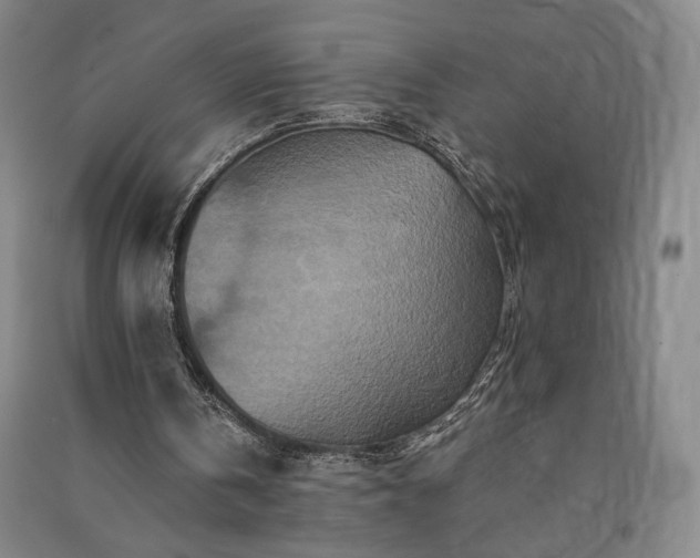 X0000091340146200708171418